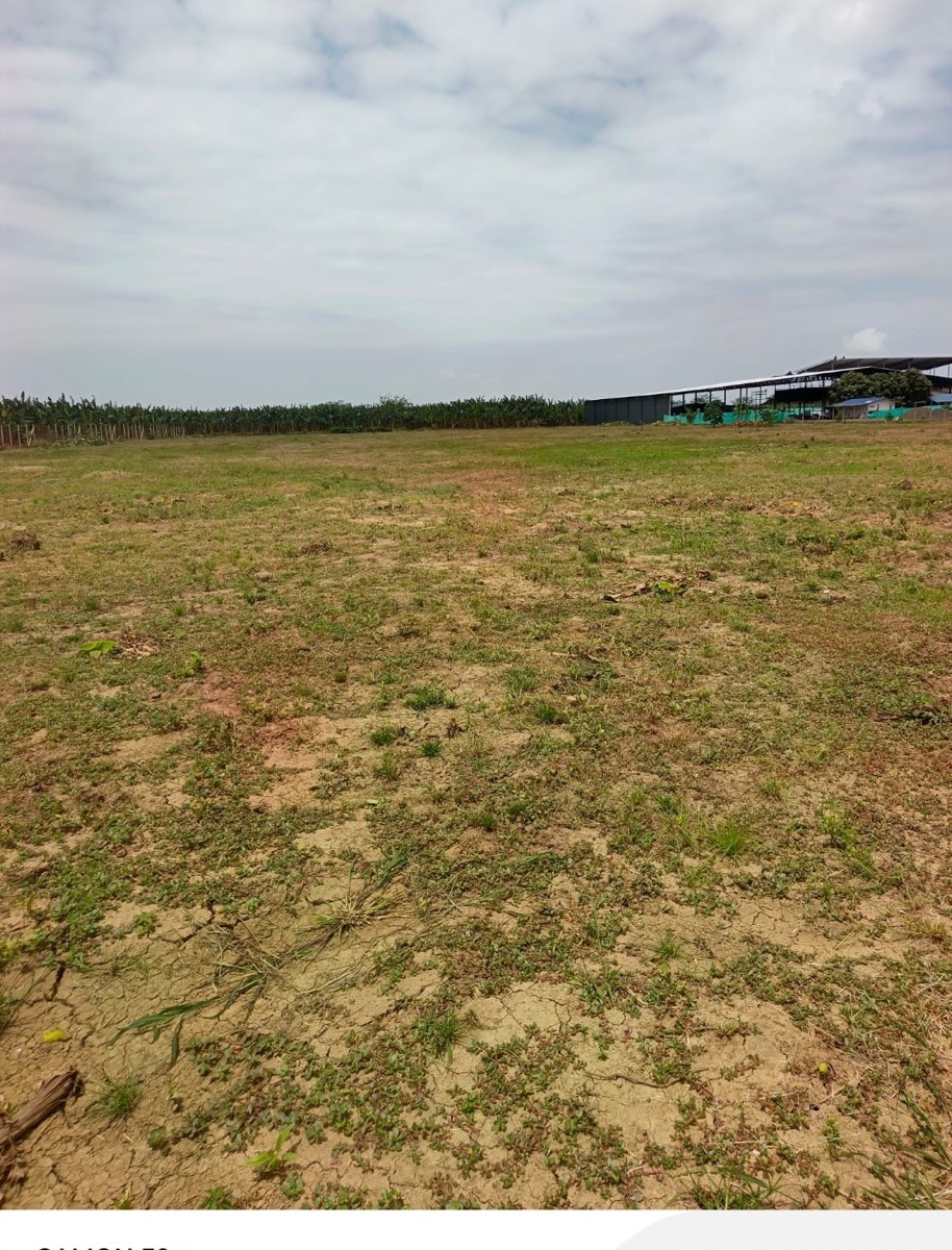 Terreno plano del proyecto